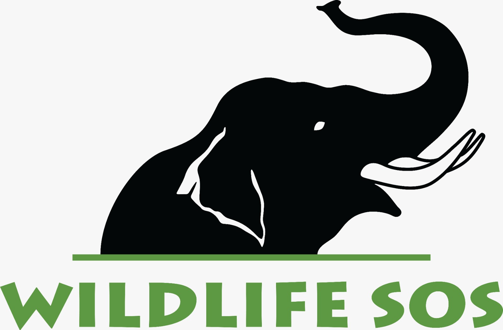 Volunteer at Wildlife SOS